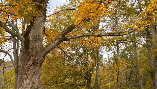 Fall Colors at Kooser State Park